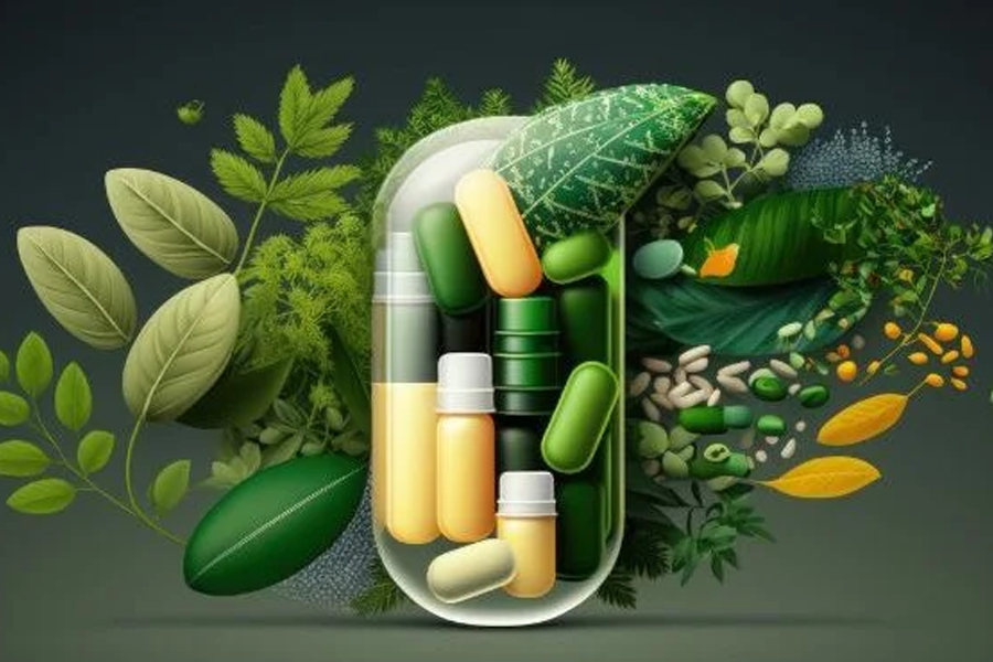 Navigating the Future of Nutraceuticals: Trends and Innovations